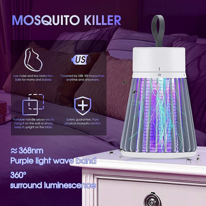 Mosquito And Fly Catcher